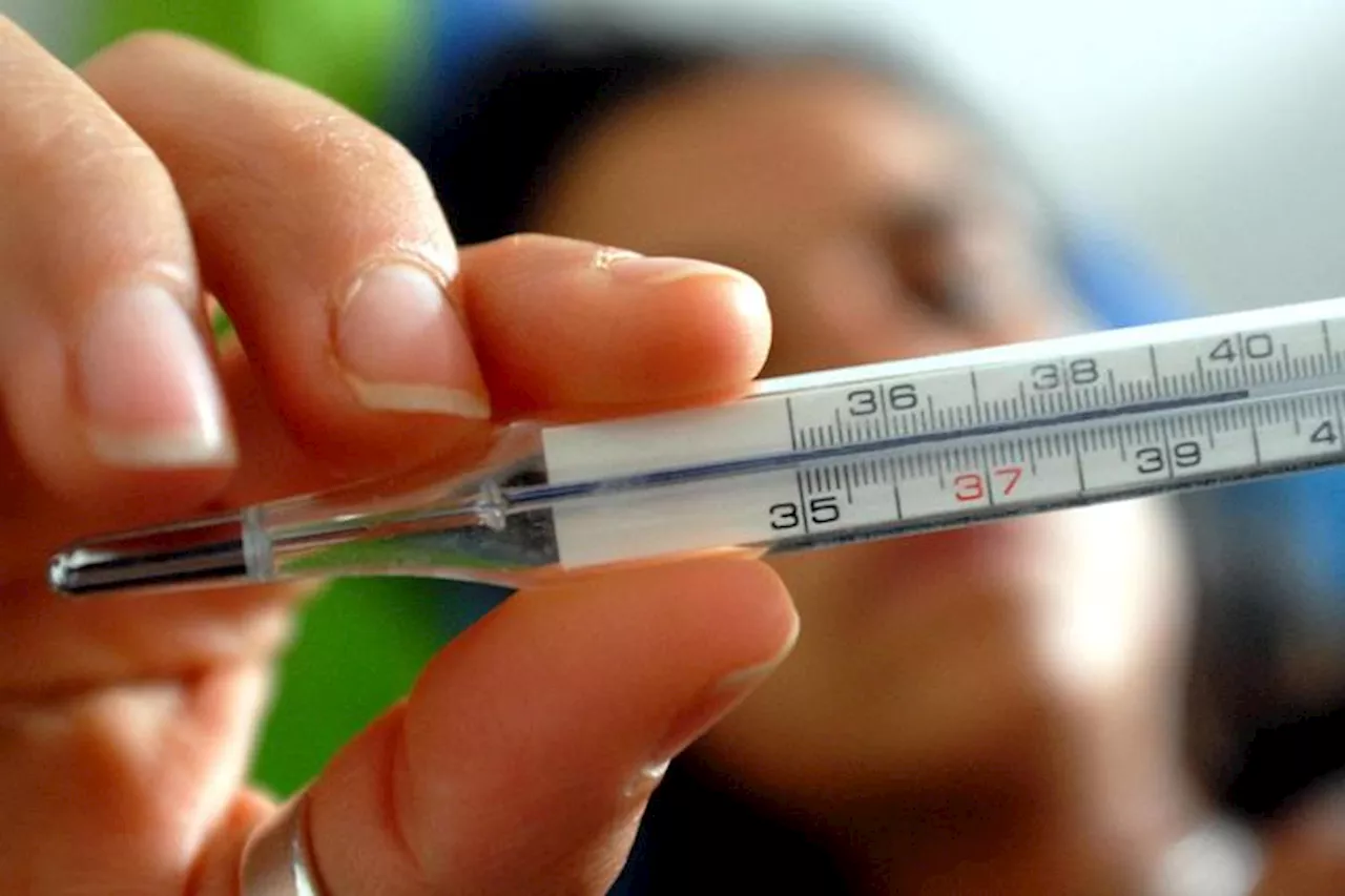 Influenza australiana in Italia, sintomi e durata: cosa ci aspetta nel 2024