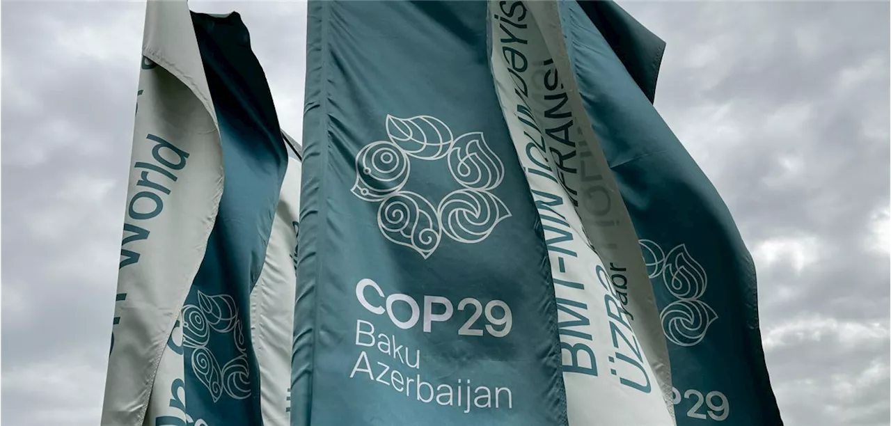 Vor der Weltklimakonferenz in Baku : Klimawandel & COP 29: Psychologen fordern nationalen Resilienzplan