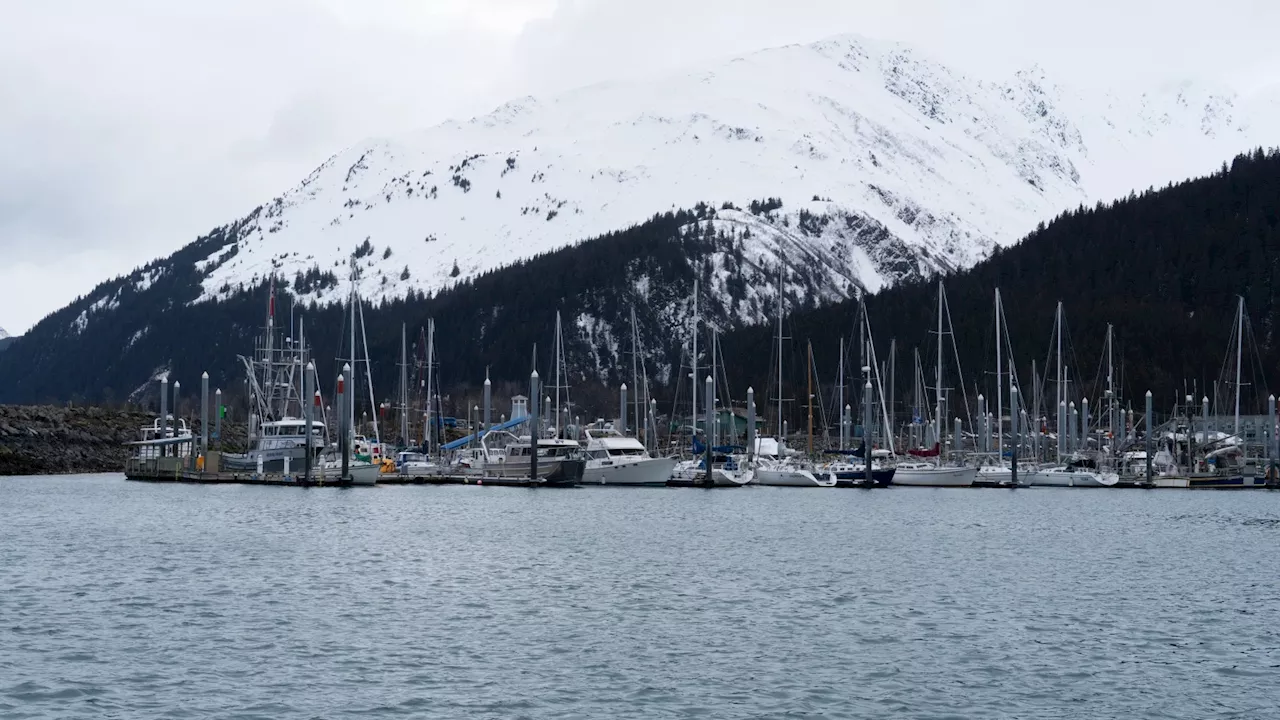 Seward gets $45.7M grant to connect cruise ships to electricity