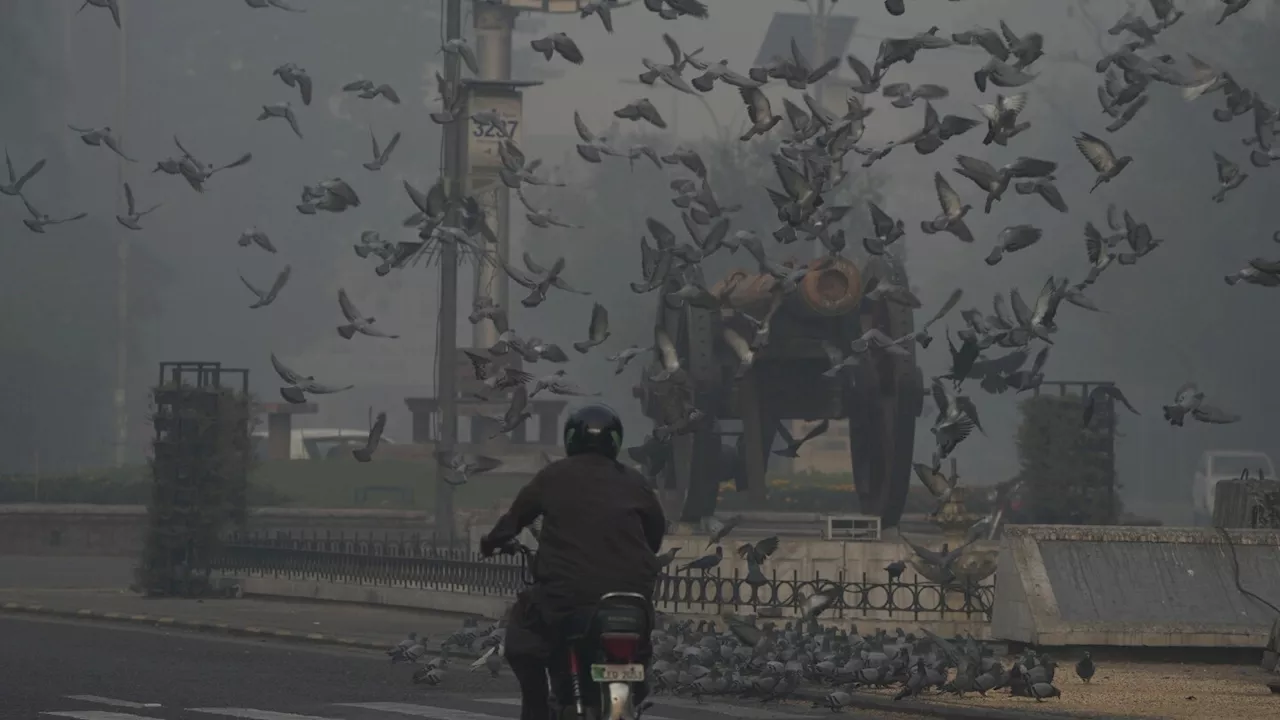 Pakistan shuts primary schools for a week in Lahore due to dangerous air quality