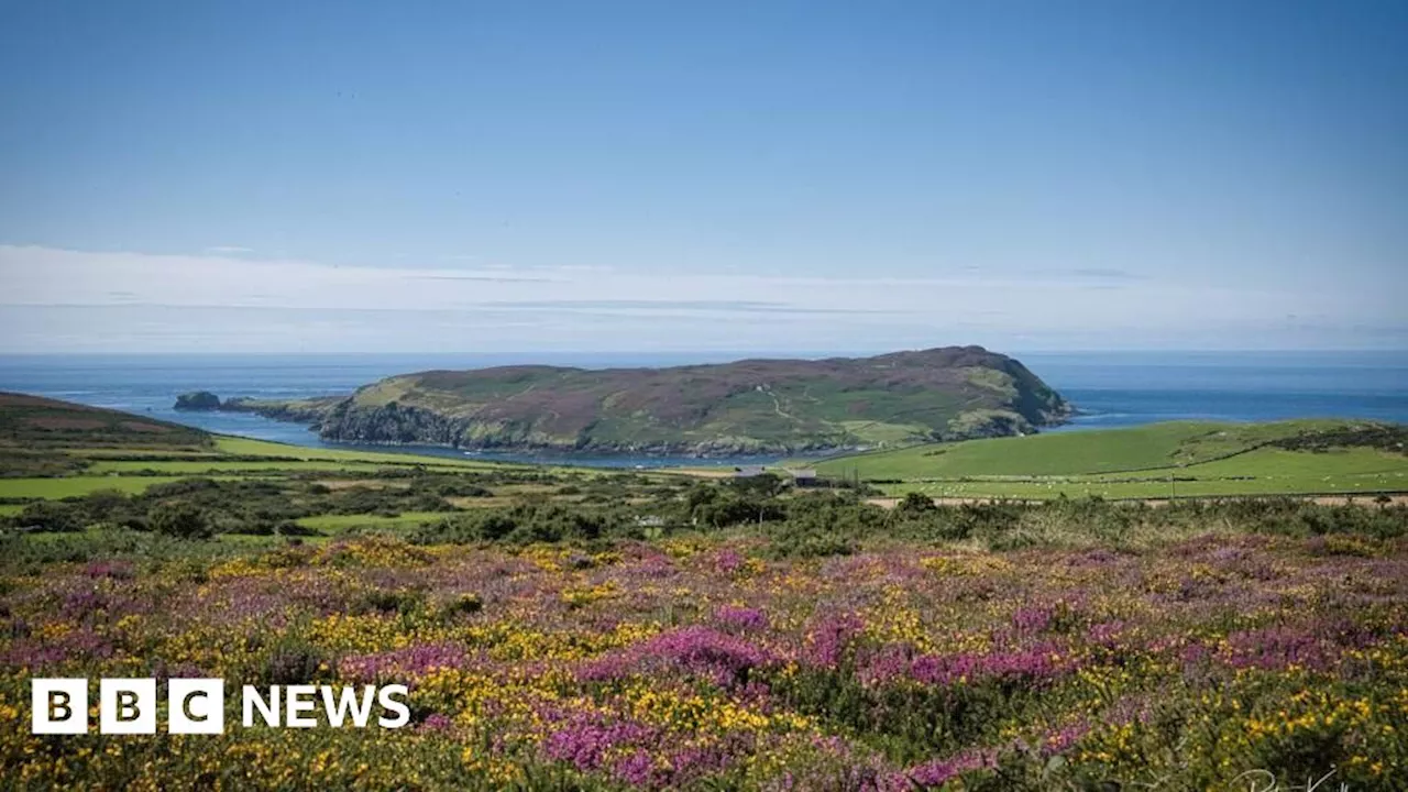 Manx Wildlife Trust: Conservationists sought to live on the Calf of Man