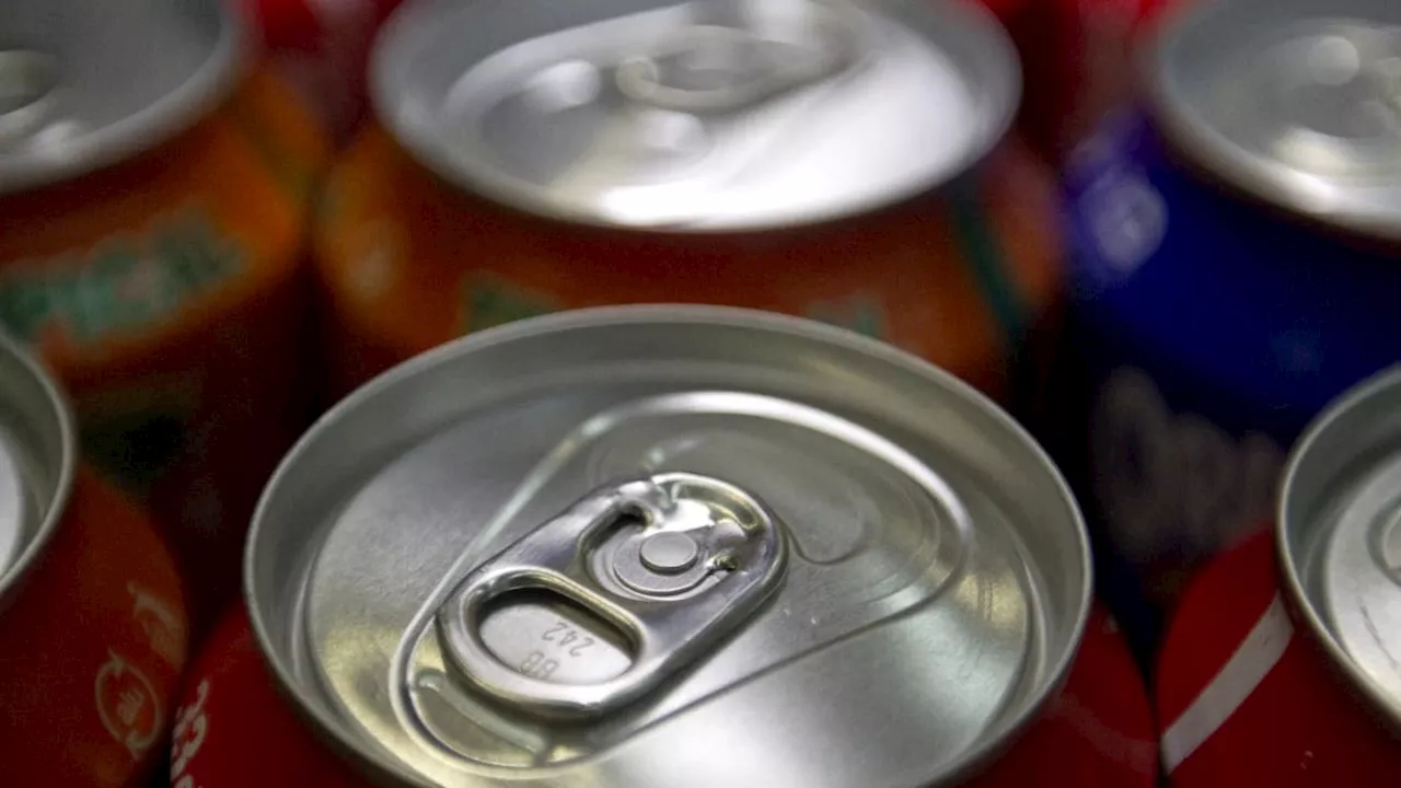 Budget 2025: les députés rejettent une réforme de la 'taxe soda'