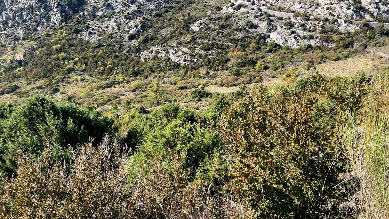 Moustiers-Sainte-Marie: le site de Courchon sélectionné pour la deuxième édition de la Mission Nature