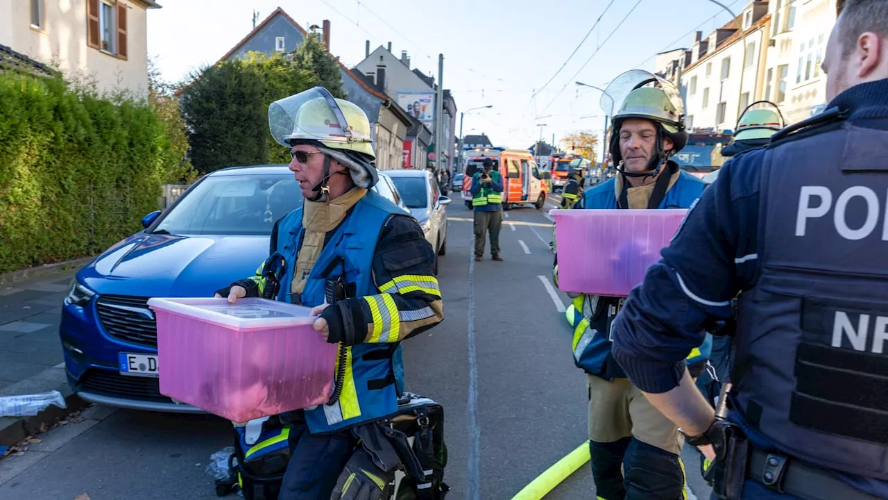 10 Verletzte in Essen: Feuerwehr rettet halben Tierpark aus Brandhaus