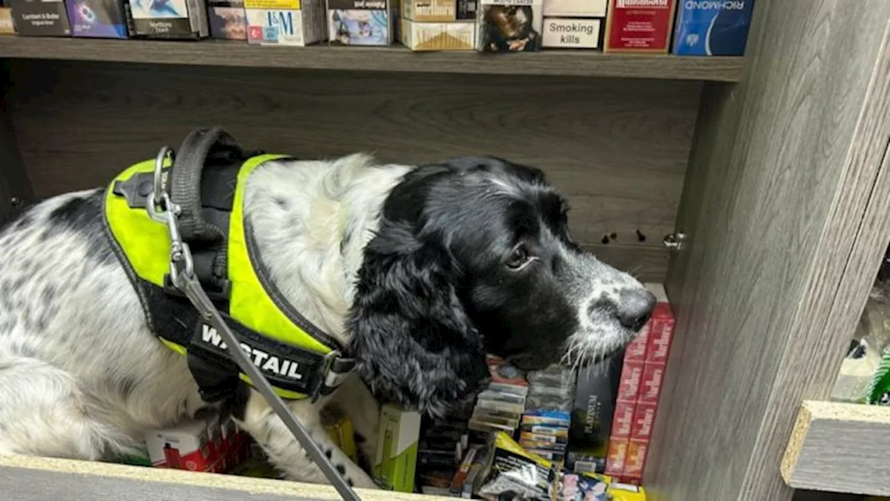 Specialist outside help brought in to uncover hidden spots in offending Preston shops