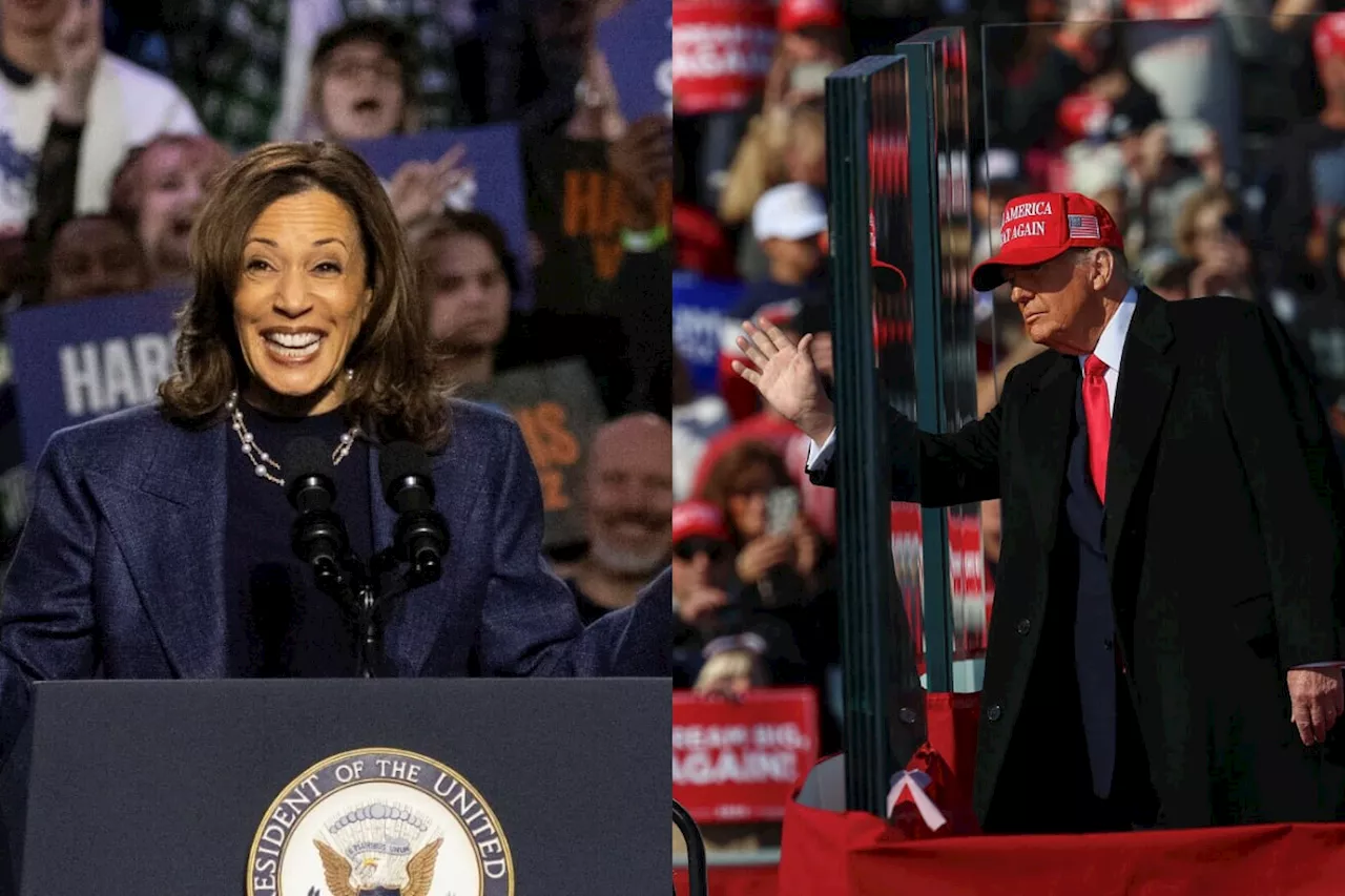 Kamala Harris urges action, Donald Trump ramps up rhetoric ahead of elections