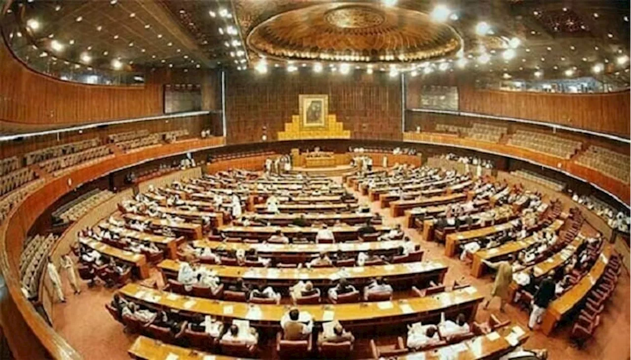 NA adopts bills to extend tenure of services chiefs, increase number of SC & IHC judges