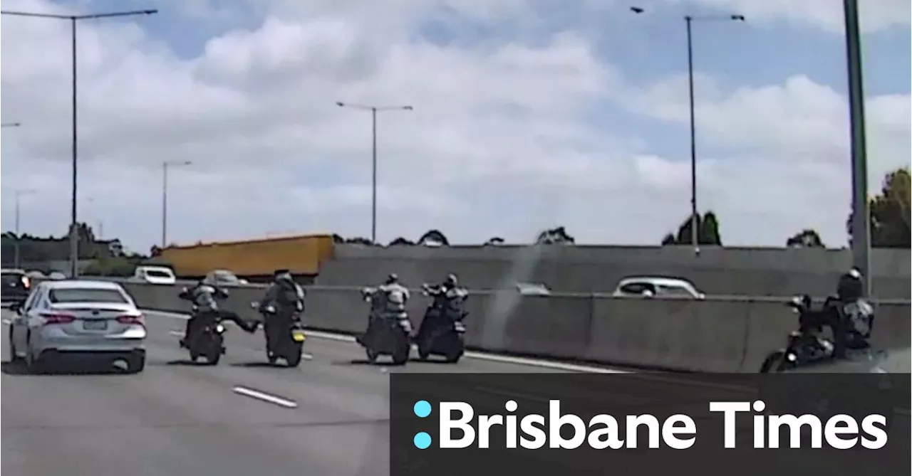 Mongols try to punch and kick learner motorcyclist on Monash Freeway