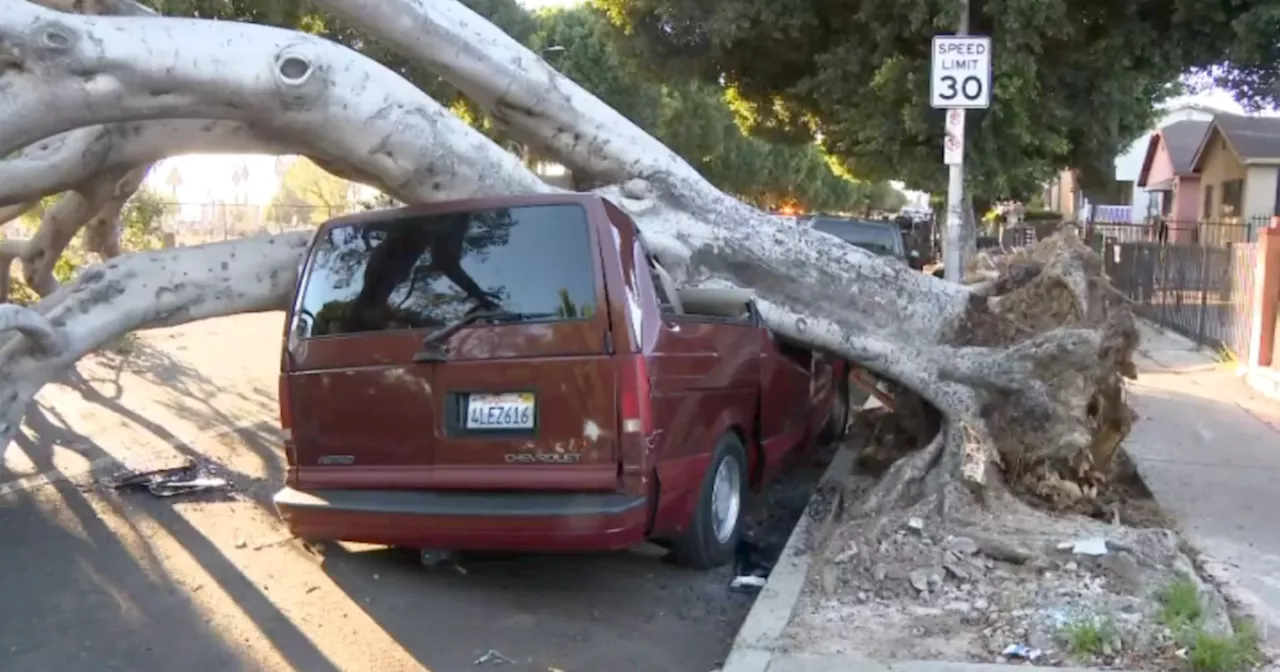 Strong winds and dry conditions prompt red flag warning in Inland Empire