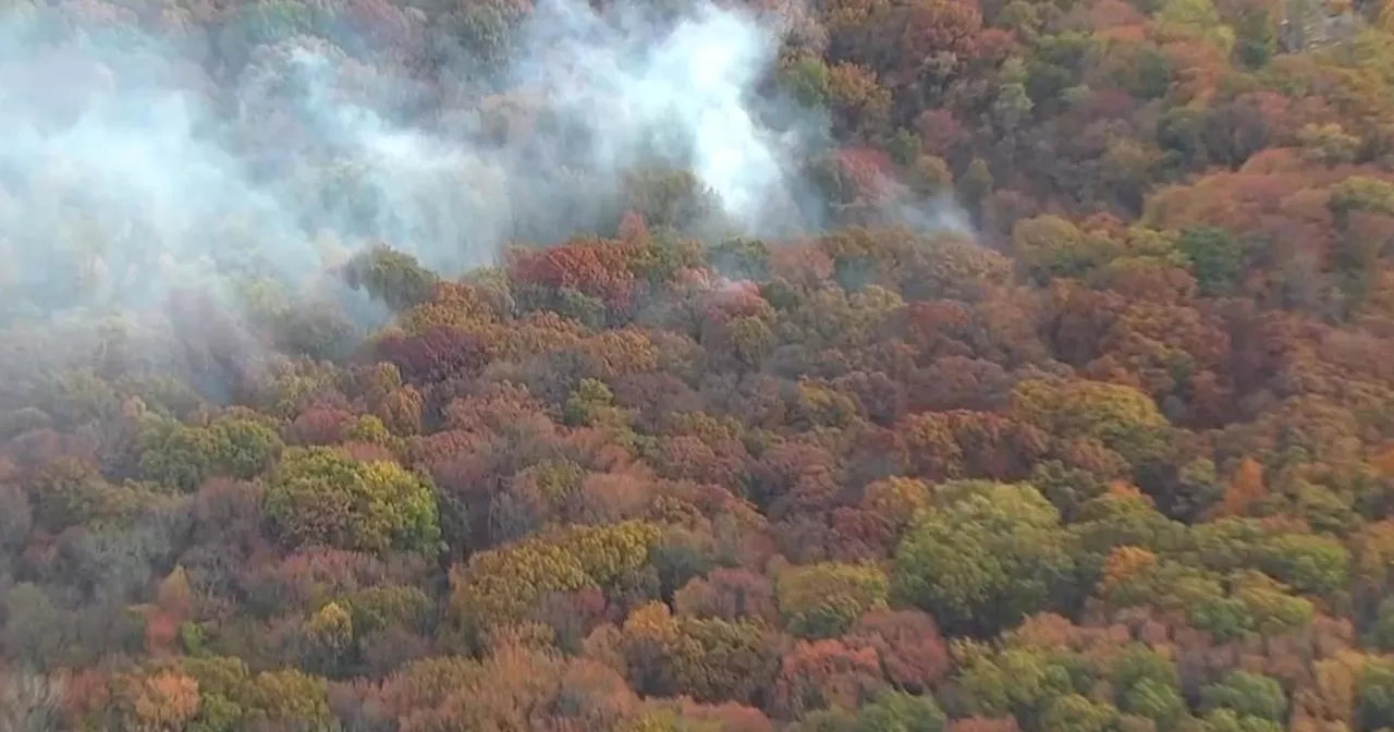 Brush fire in NYC's Van Cortlandt Park in the Bronx creates smoky conditions