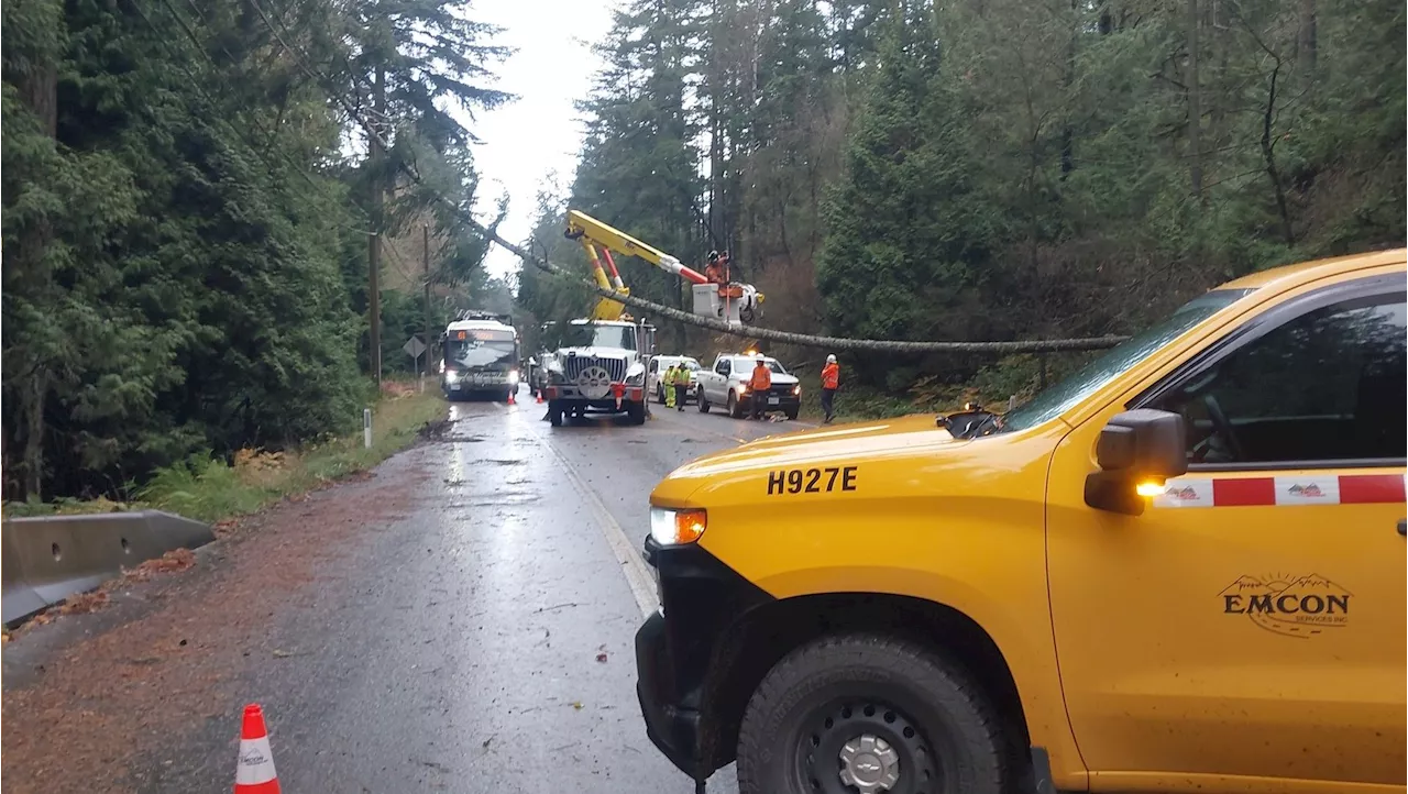 Nearly 46,000 people lose power as strong winds lash Vancouver Island