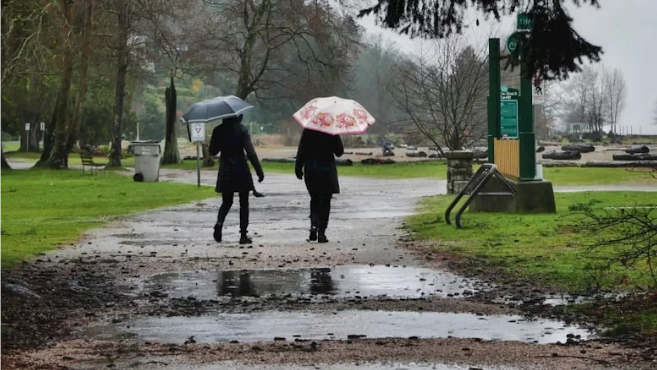 Wind warnings issued across Vancouver Island, heavy rain also forecast