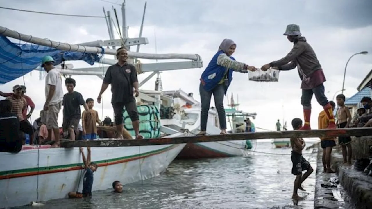 Kredit UMKM BRI Tembus Rp1.105,70 T, Sokong Ekonomi Kerakyatan RI