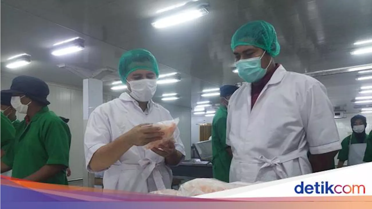 Kunjungi Pabrik Ekspor Seafood Sidoarjo, Ini Pujian Cawagub Emil Dardak