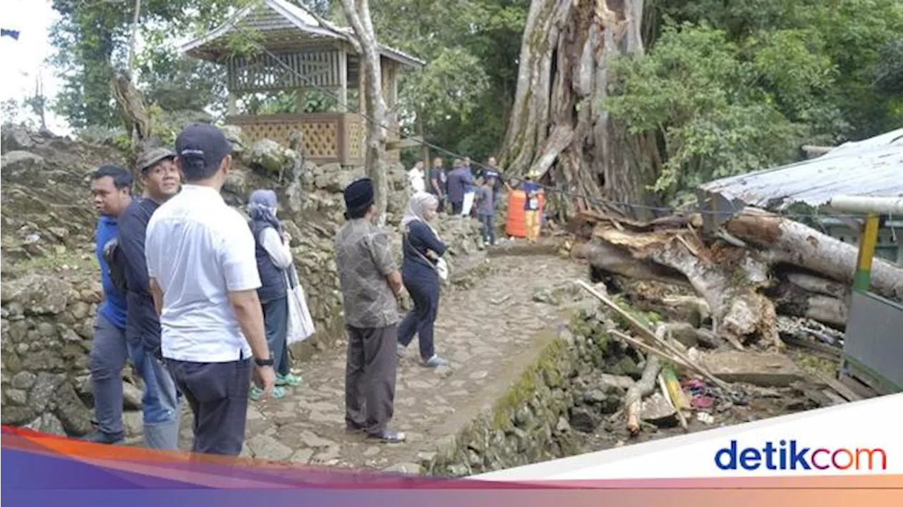 Tragis 9 Wisatawan Tewas Akibat Pohon Tumbang di Situs Mattabulu Soppeng