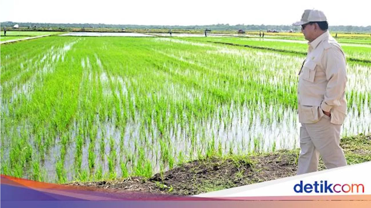 Begini Progres Proyek Cetak Sawah 1 Juta Ha yang Dicek Prabowo