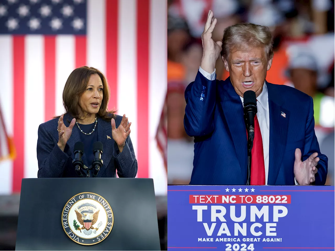 EEUU: propuestas de Kamala Harris y Donald Trump en elecciones