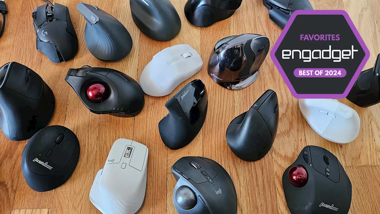 The best ergonomic mouse for 2024
