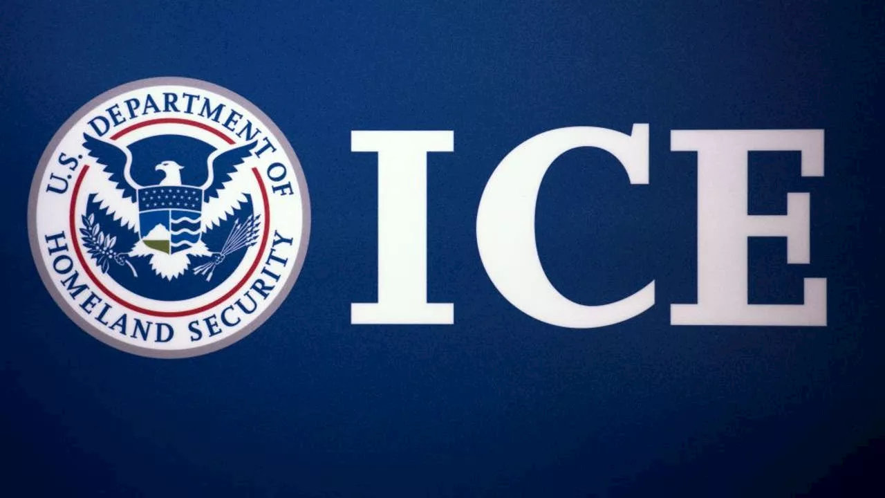 25 illegally present child sex offenders removed from U.S. in October: ICE Houston