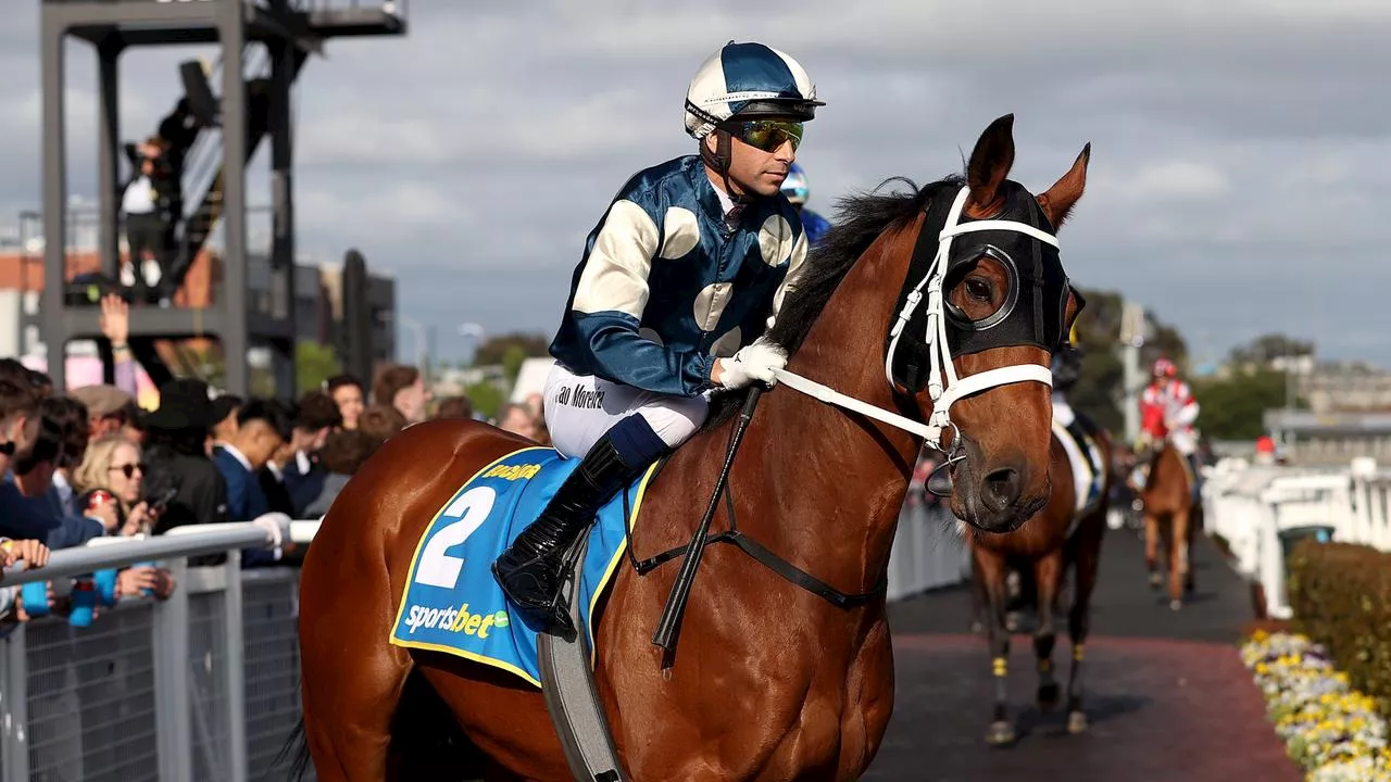 $100 Melbourne Cup betting strategy to make you a fortune