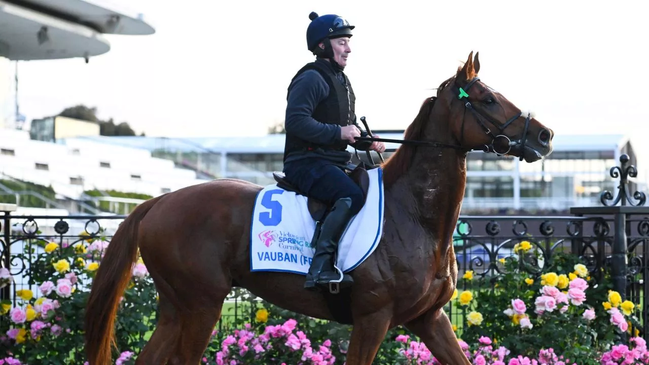 Melbourne Cup Predictions: Who the experts are tipping as more than half pick same horse