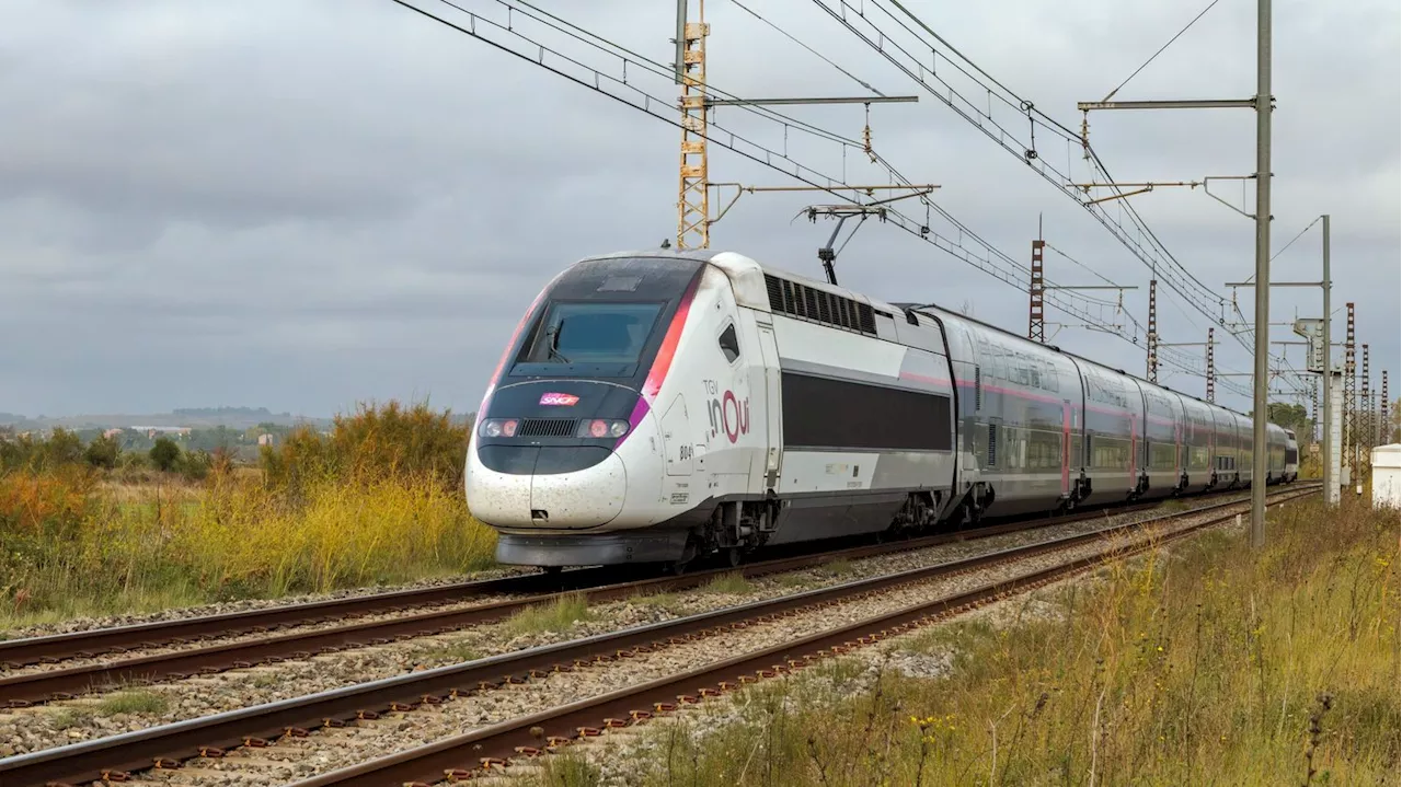 Inondations : la circulation des TGV directs entre Saint-Etienne et Paris reprendra mercredi 13 novembre