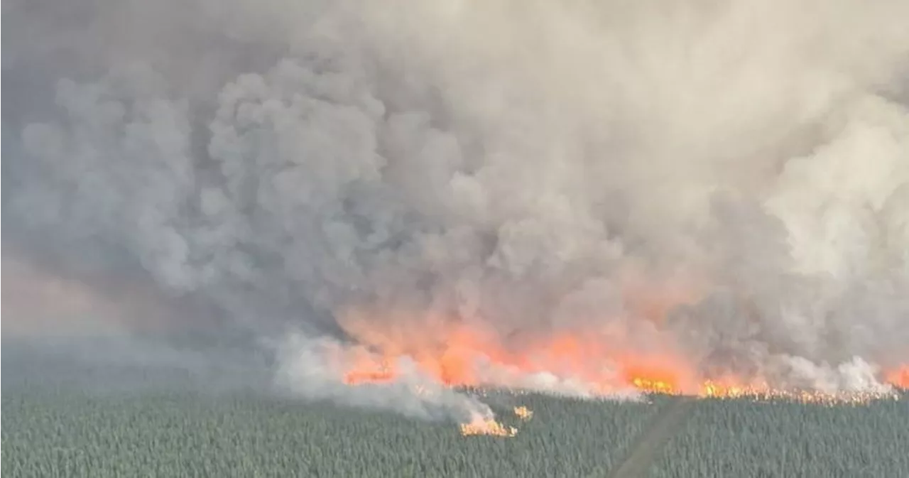 Another record-breaking wildfire season comes to an end in Alberta