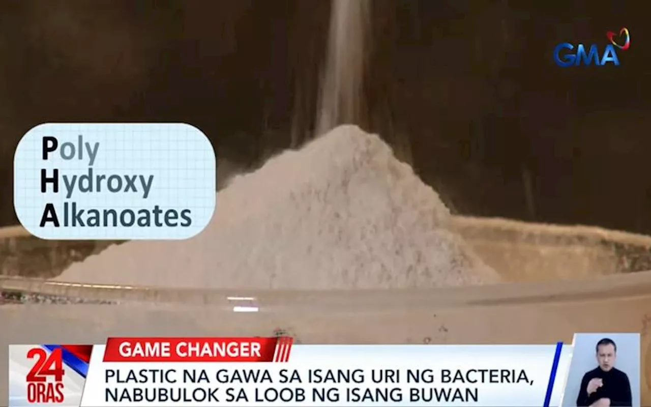 UP Los Baños develops biodegradable plastic using bacteria