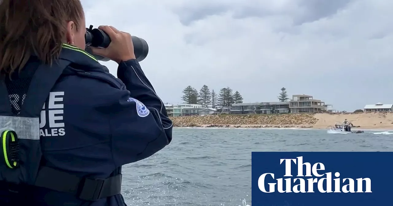 Search for boy, 11, swept out to sea from NSW coast enters third day