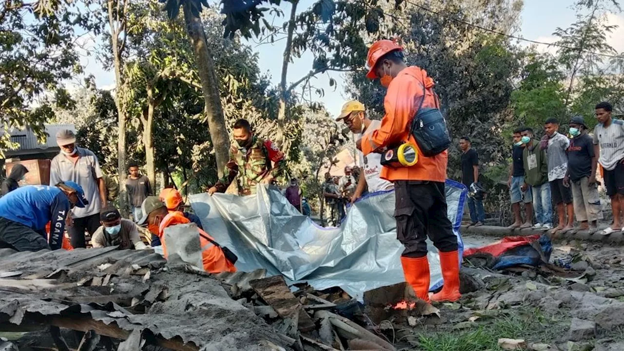 10 Orang Tewas dan Puluhan Bangunan Terbakar akibat Erupsi Gunung Lewotobi Laki-laki