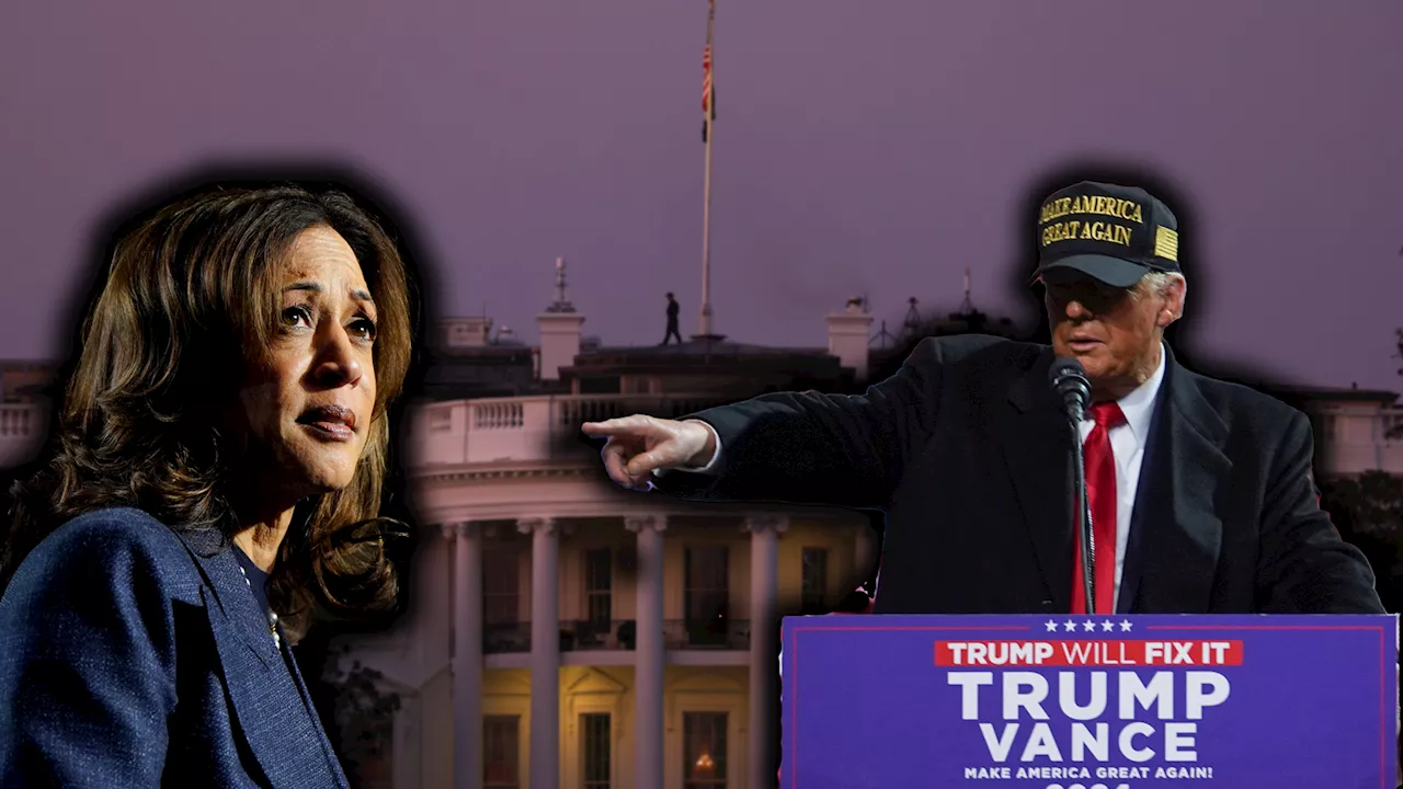  'Kamala, du bist gefeuert' – Trump-Tirade gegen Harris