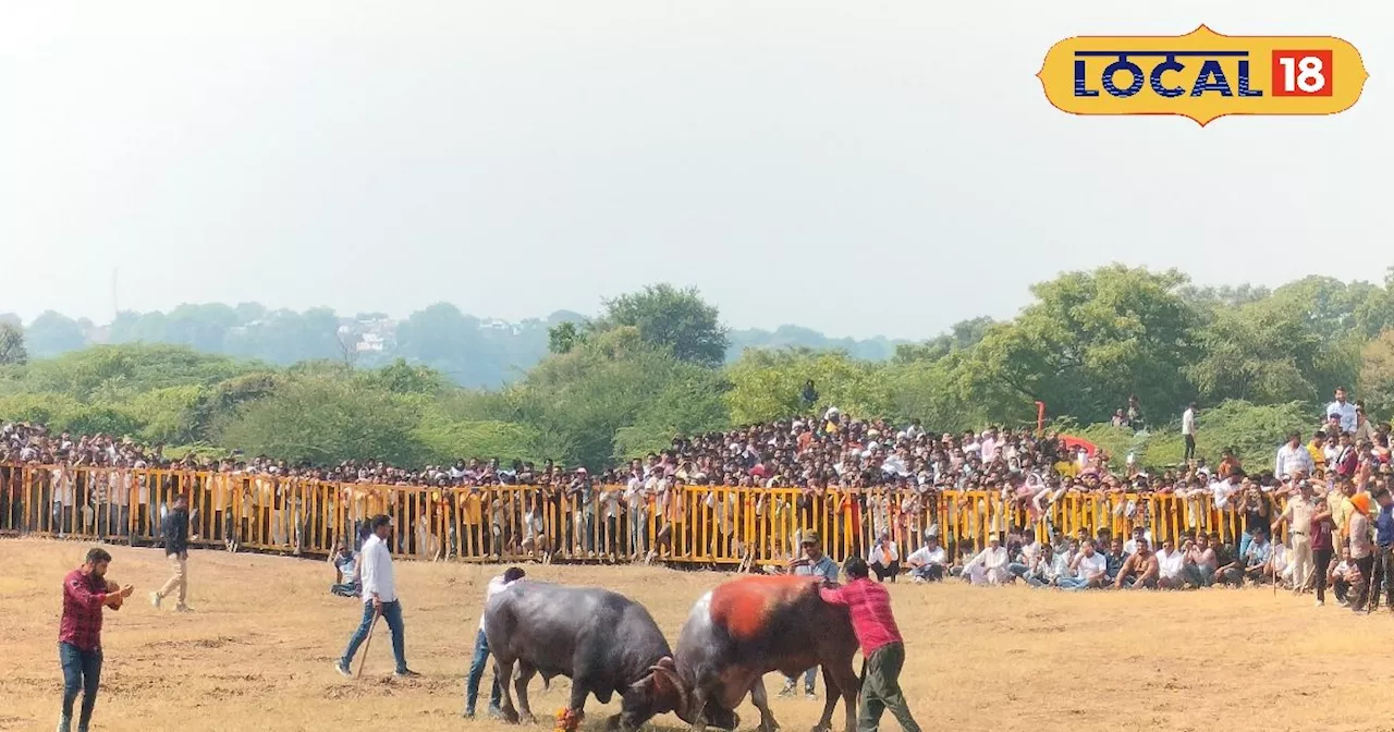 कभी न हारने वाले 'सितारा' को 'सम्राट' ने चटा दी धूल, इस महादंगल पर लगे थे डेढ़ करोड़ रुपये!