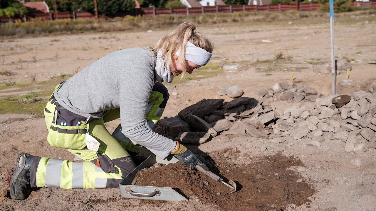 Mysterious Iron Age grave stabbed with an iron knife discovered in Sweden