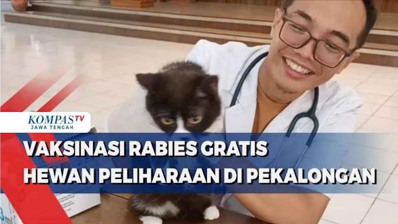 Vaksinasi Rabies Gratis Hewan Peliharaan di Pekalongan