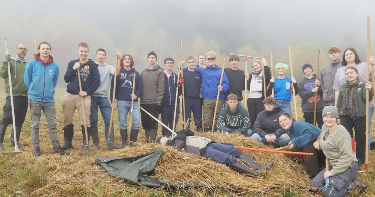 Schulprojekt schützt Iriswiese im Naturpark Jauerling-Wachau