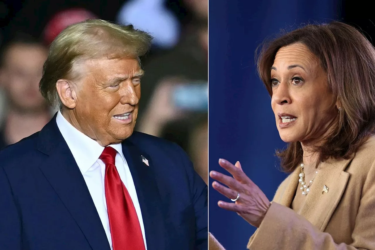 Harris ou Trump, l'Amérique à la veille d'un choix historique