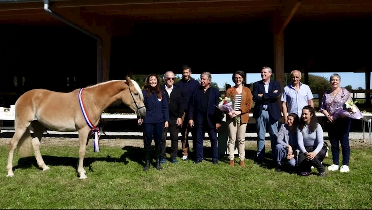 Le Haras du Nébouzan : élevage Haflinger engagé dans la transition énergétique avec un manège photovoltaïque n