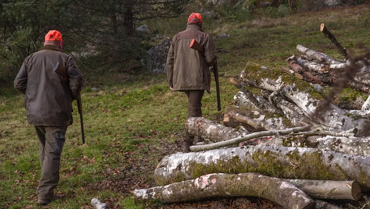 Blessé par balle, un chasseur meurt lors d’une battue, le parquet n’exclut aucune piste