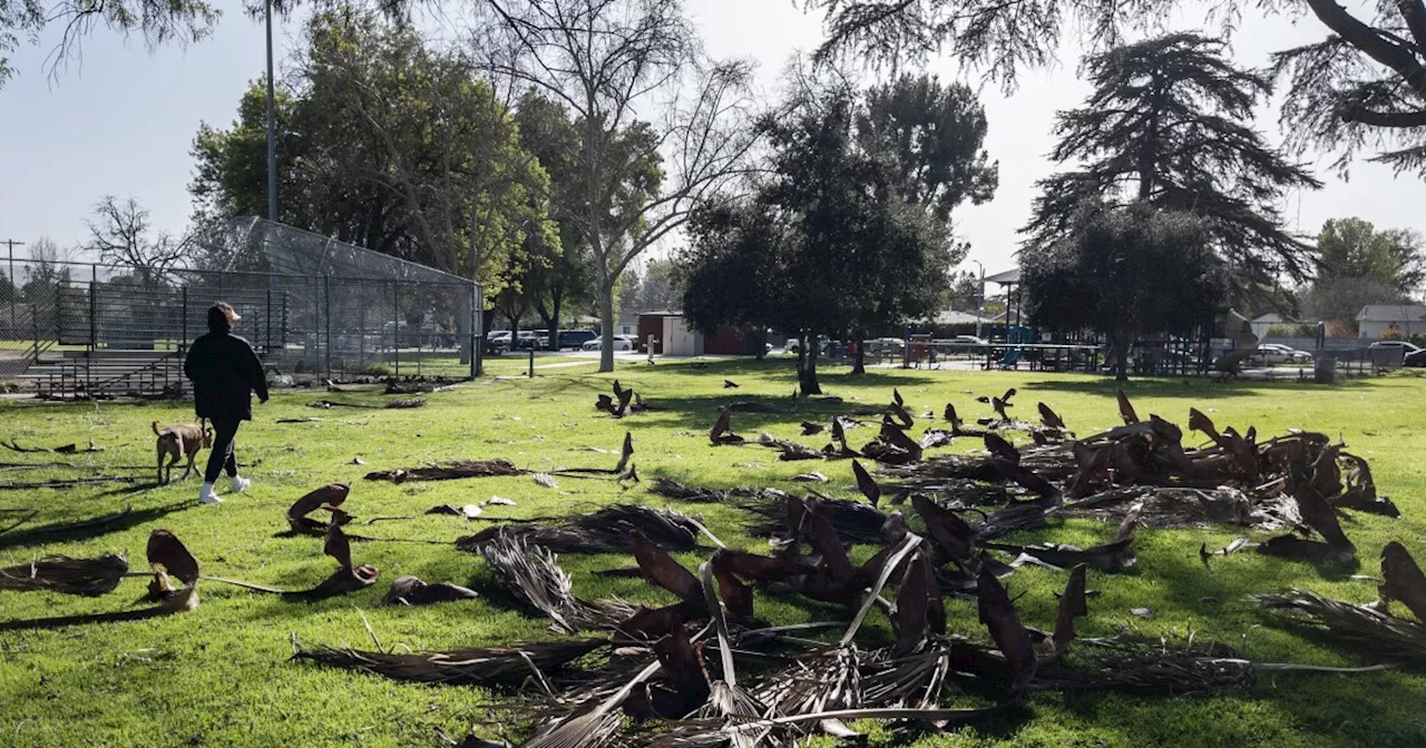 Southland under red flag warning as Santa Ana winds increase fire danger