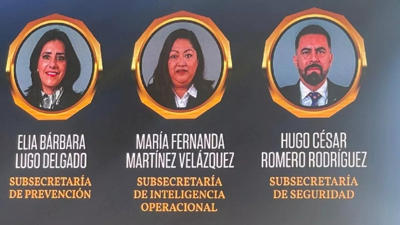 ¿Quiénes son los subsecretarios de Seguridad en Guanajuato?