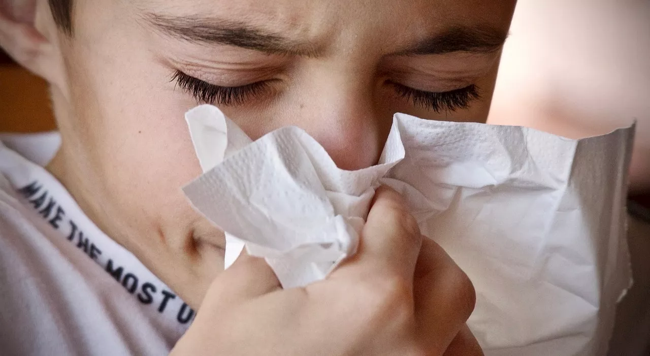 «Influenza australiana può sviluppare danni cerebrali, così come le altre. Non è l'unica»: l'allarme degli esp