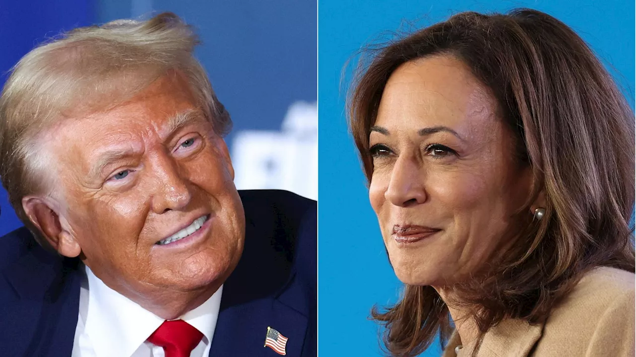 Trump vs Harris : cette Une du « New Yorker » vise juste à 24h de l’élection présidentielle américaine