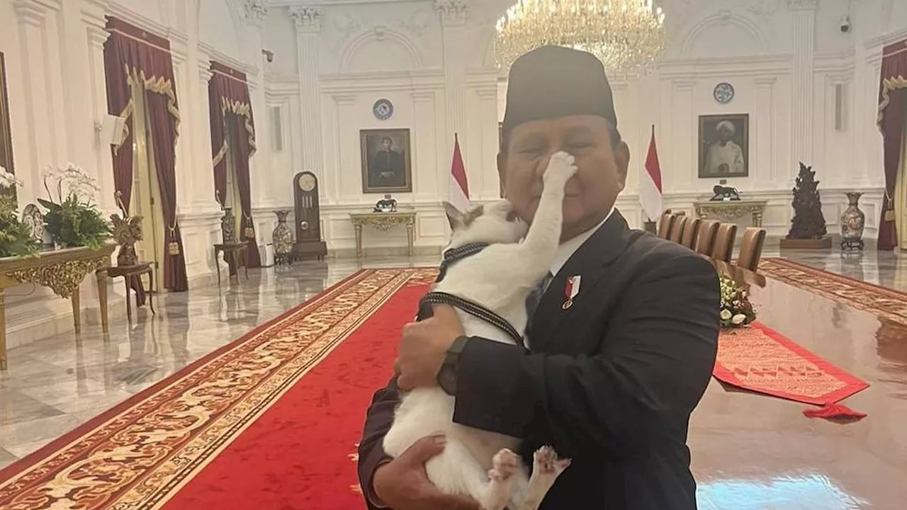 Foto Prabowo Gendong Kucing Bobby Kertanegara di Istana Disukai 2,3 Juta Orang, Rossa Sampai Gemas