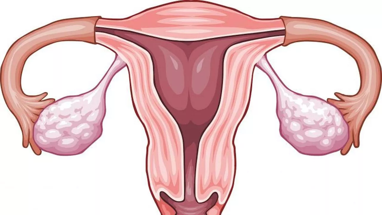 Gejala Kanker Endometrium yang Perlu Dikenali, Sempat Diidap Almarhumah Dina Mariana