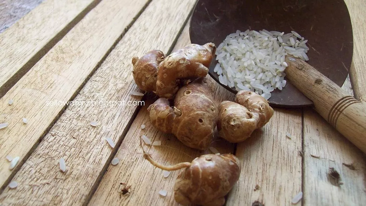 Resep Jamu Beras Kencur, Solusi Alami untuk Menurunkan Kolesterol di Rumah