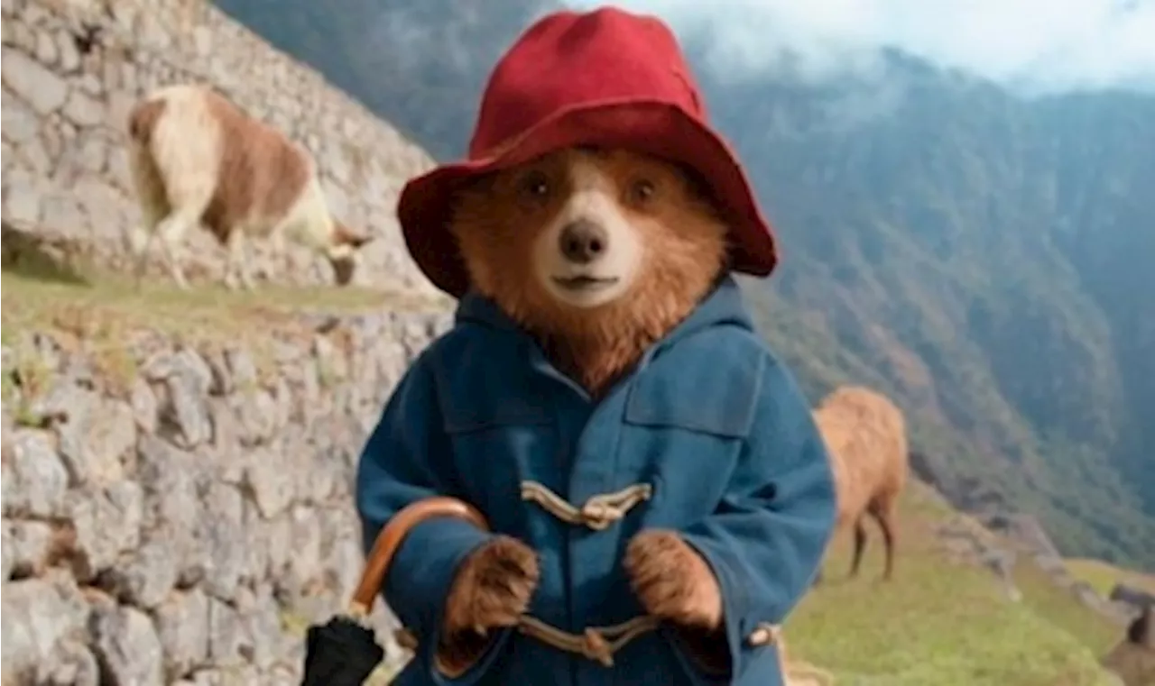 Guess who’s back with a splash of marmalade? Paddington returns to his ‘root’ in Peru with more ‘high jinx’ in tow