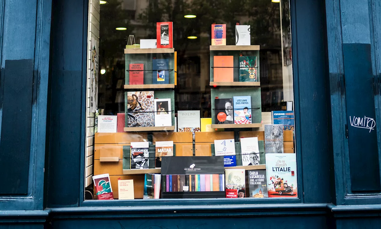 'Ils ont leur public, leur ligne éditoriale' : censure et intimidation dans les rayons des librairies indépendantes