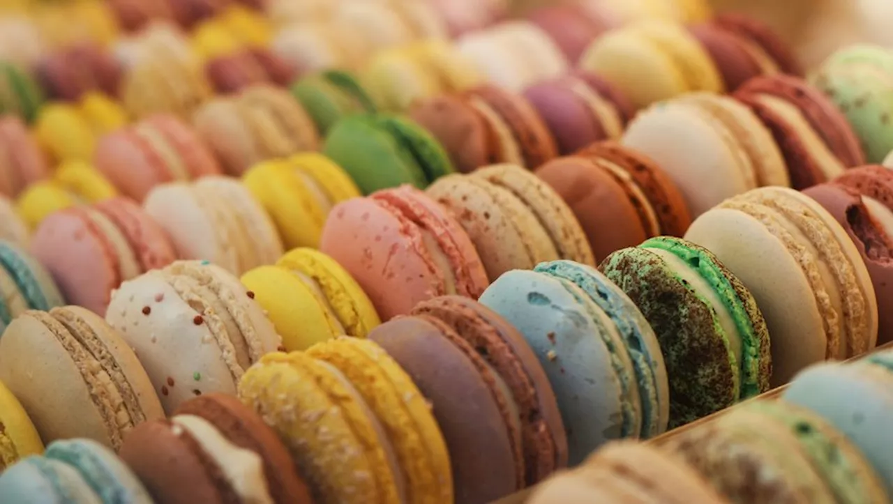 Rappel conso : des macarons vendus dans certaines boulangeries Paul rappelés pour une suspicion de salmonelle