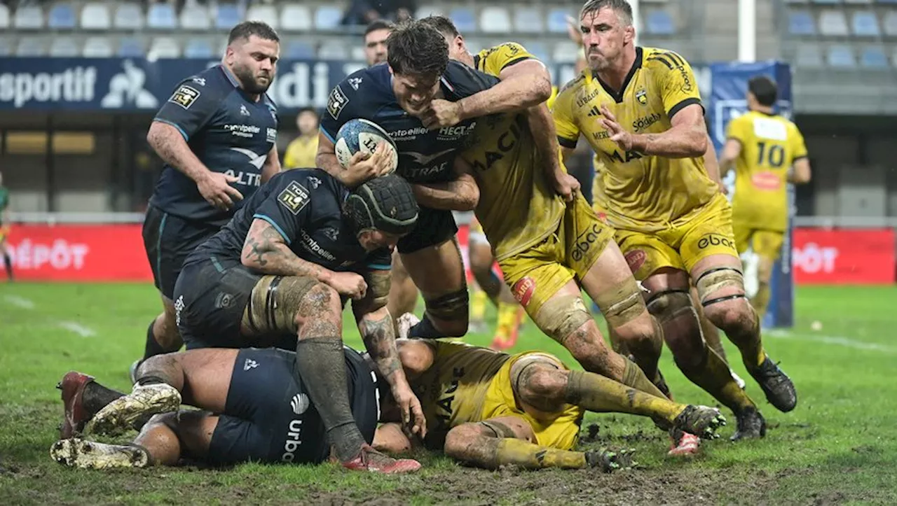 Un premier trimestre, mention passable pour les joueurs de Montpellier en Top 14