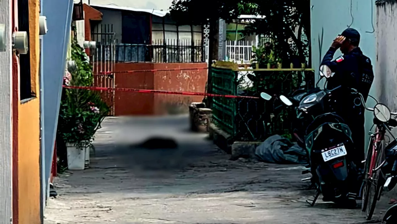 Hombre mata a balazos a un perro en Zamora, Michoacán